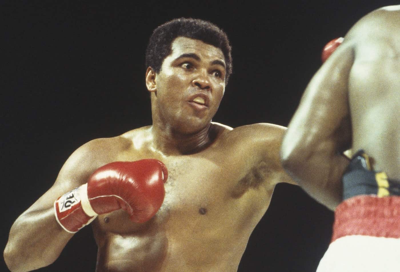 Boxing legend, Muhammod Ali