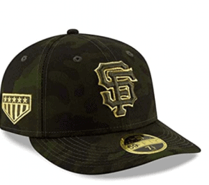 Armed Forces Day Camo Hat Cap