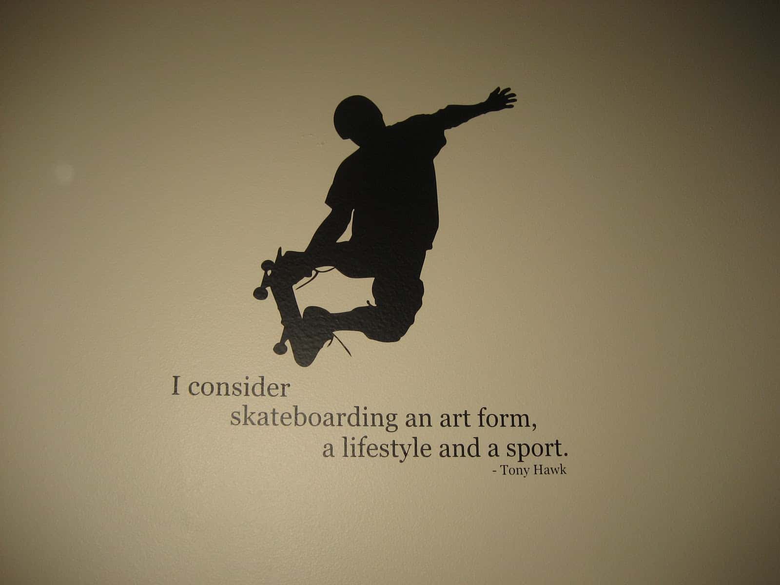 Tony Hawk quote on skate