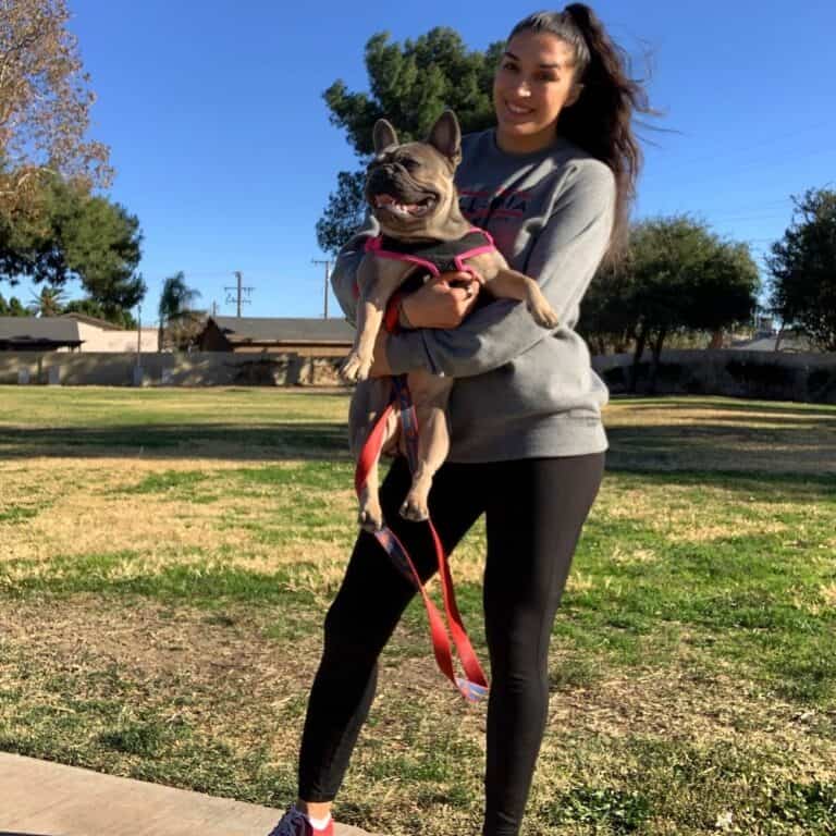 Tatiana Suarez Bio : UFC, Cancer, Net Worth & Boyfriend - Players Bio