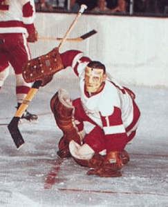 Terry playing for red wings