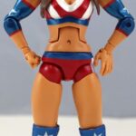 Brooke Tessmacher action figure