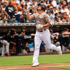 Hunter Renfroe Stats & Scouting Report — College Baseball, MLB