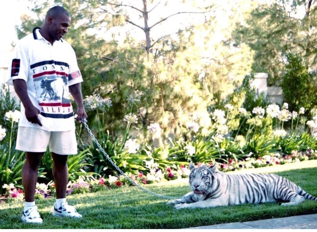 Tyson with his pet tiger
