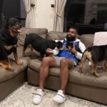 Ezekiel-dogs