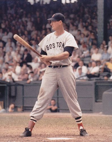 Ted Williams in the field