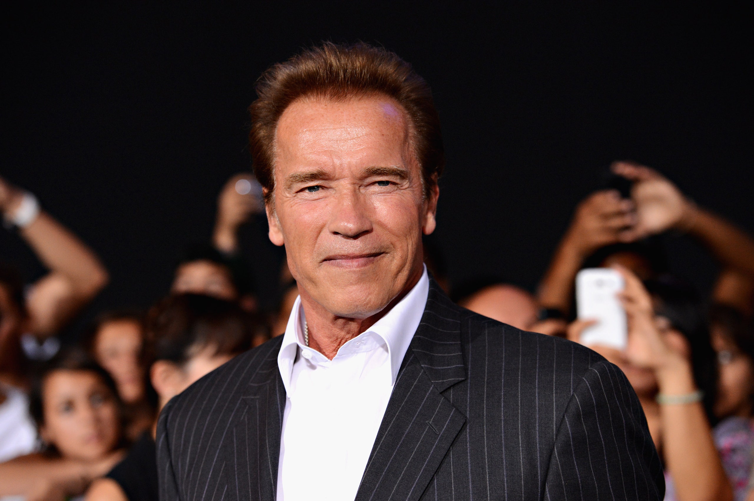 arnold schwarzenegger biography book