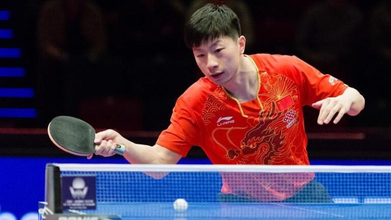 Ma Long net worth.