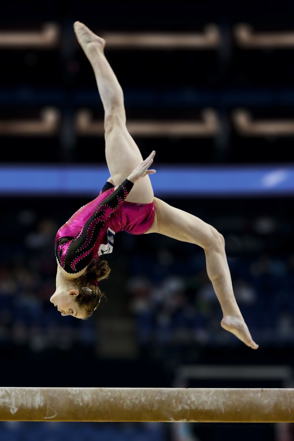 Gymnastic (Source: Simple Wikipedia)