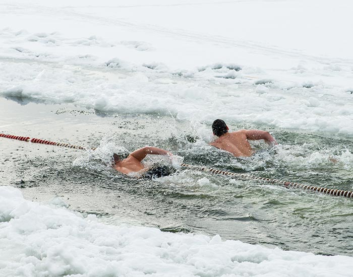 Ice Swimming (Source: Sportsmatik)
