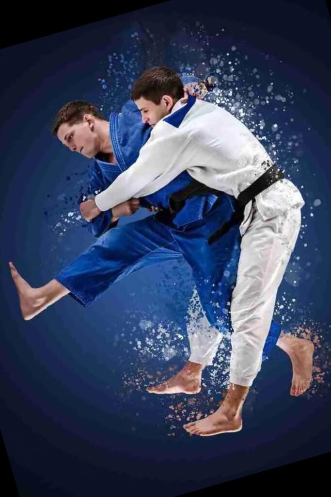 Illustration of the Judo