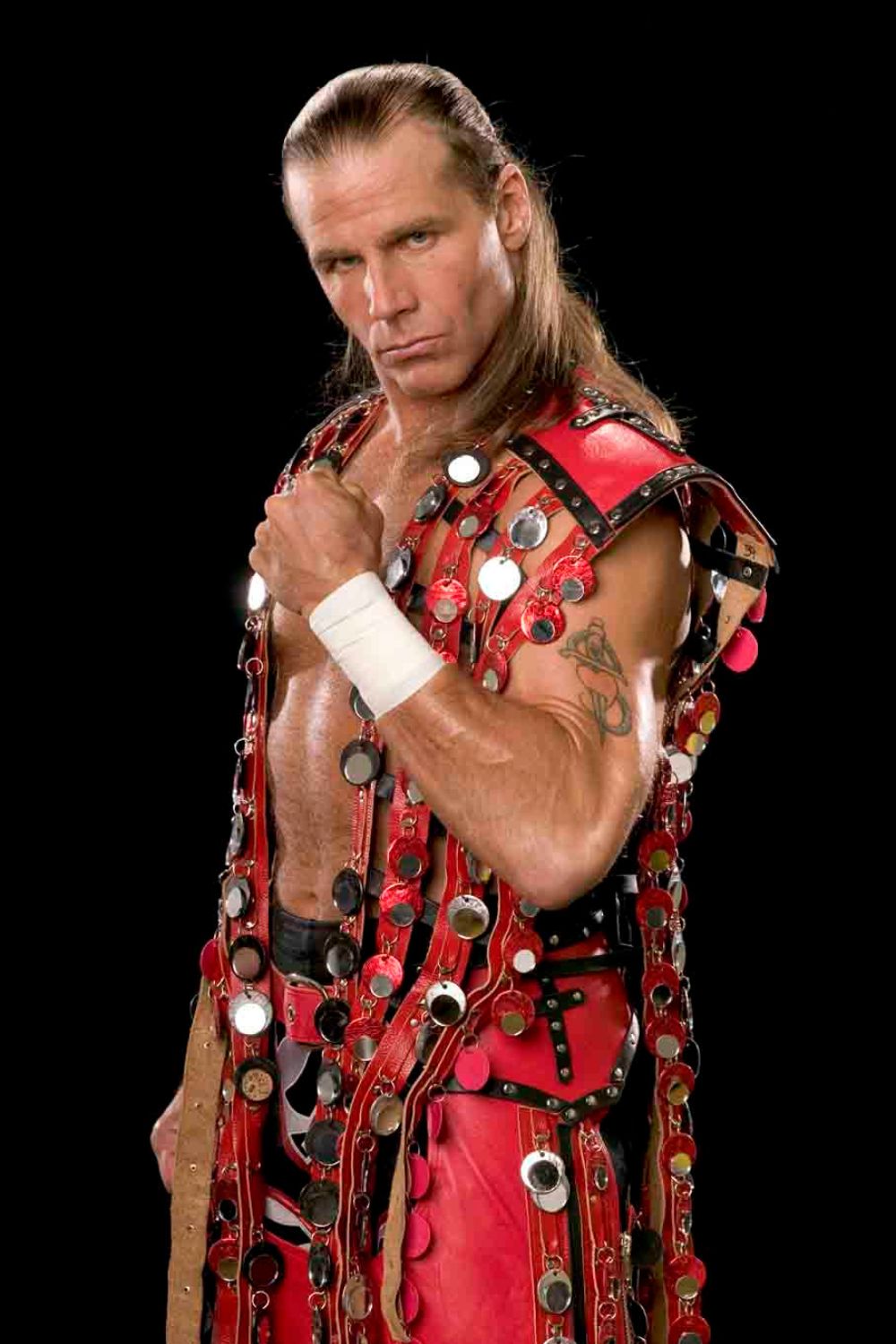 Shawn Michaels Posing In The Costume 