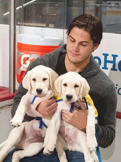 Jarred Boll with dogs (Source: Pinterest)