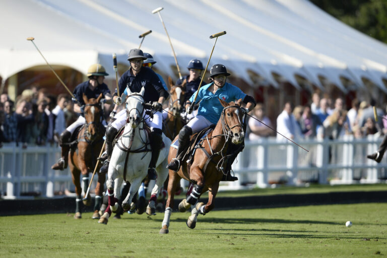 Top 13 Famous Polo Athletes in the World