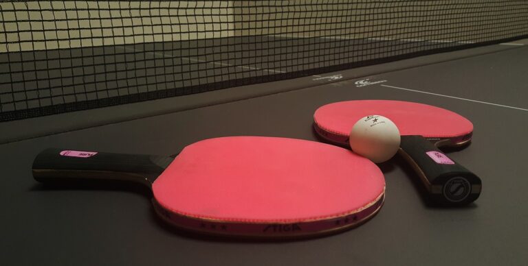 Top 8 Fun Ping Pong Paddles of This Year