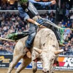 Bull Riding