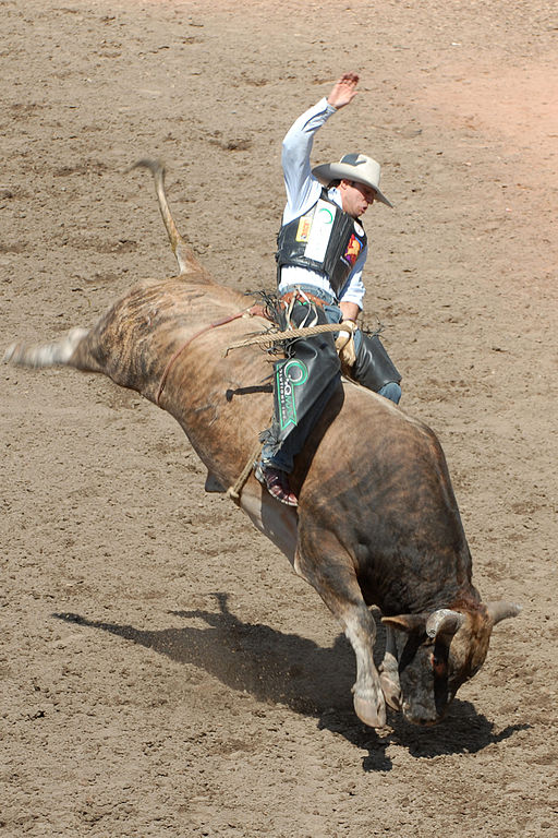 Bull-Riding-rodeo-sport