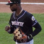 Luis Robert