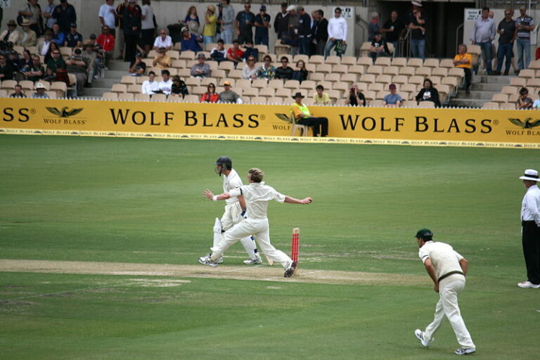 Brett_lee-bowling
