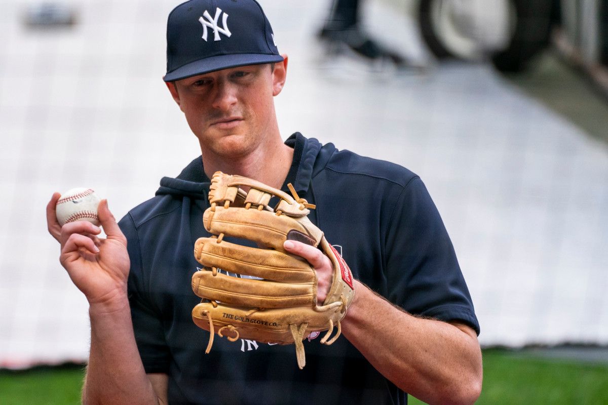 Dj LeMahieu Baseball Stats, Wife, Net Worth, And Family