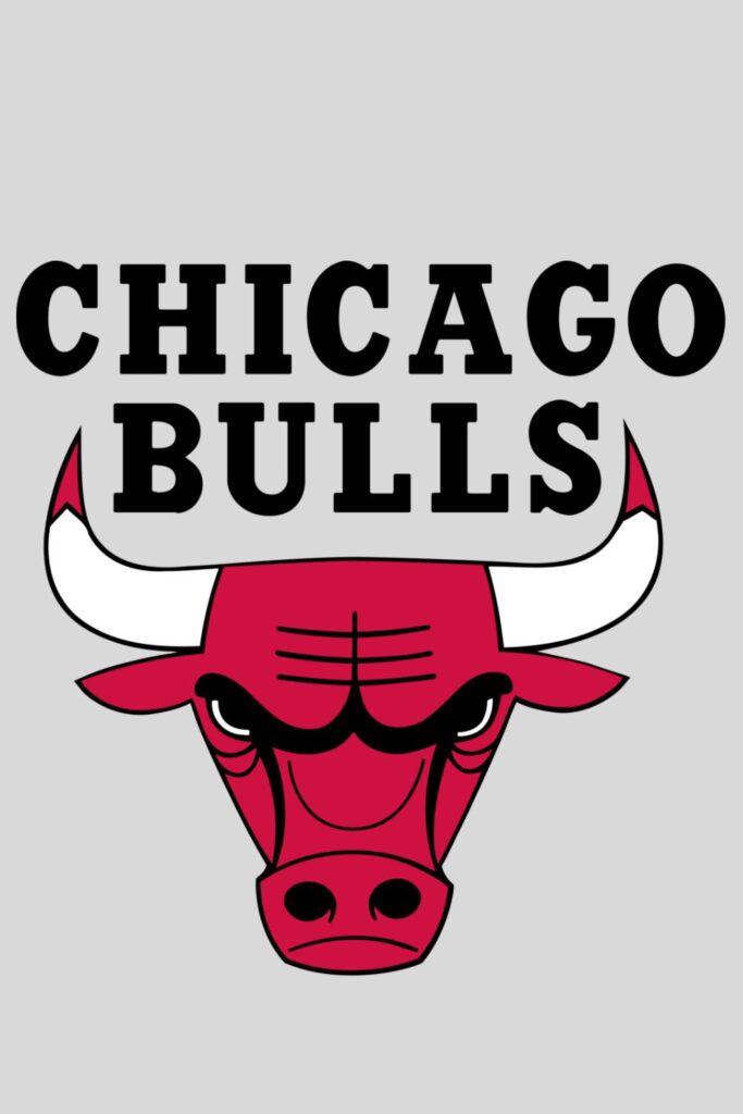 Oldest Team Of NBA, Chicago Bulls