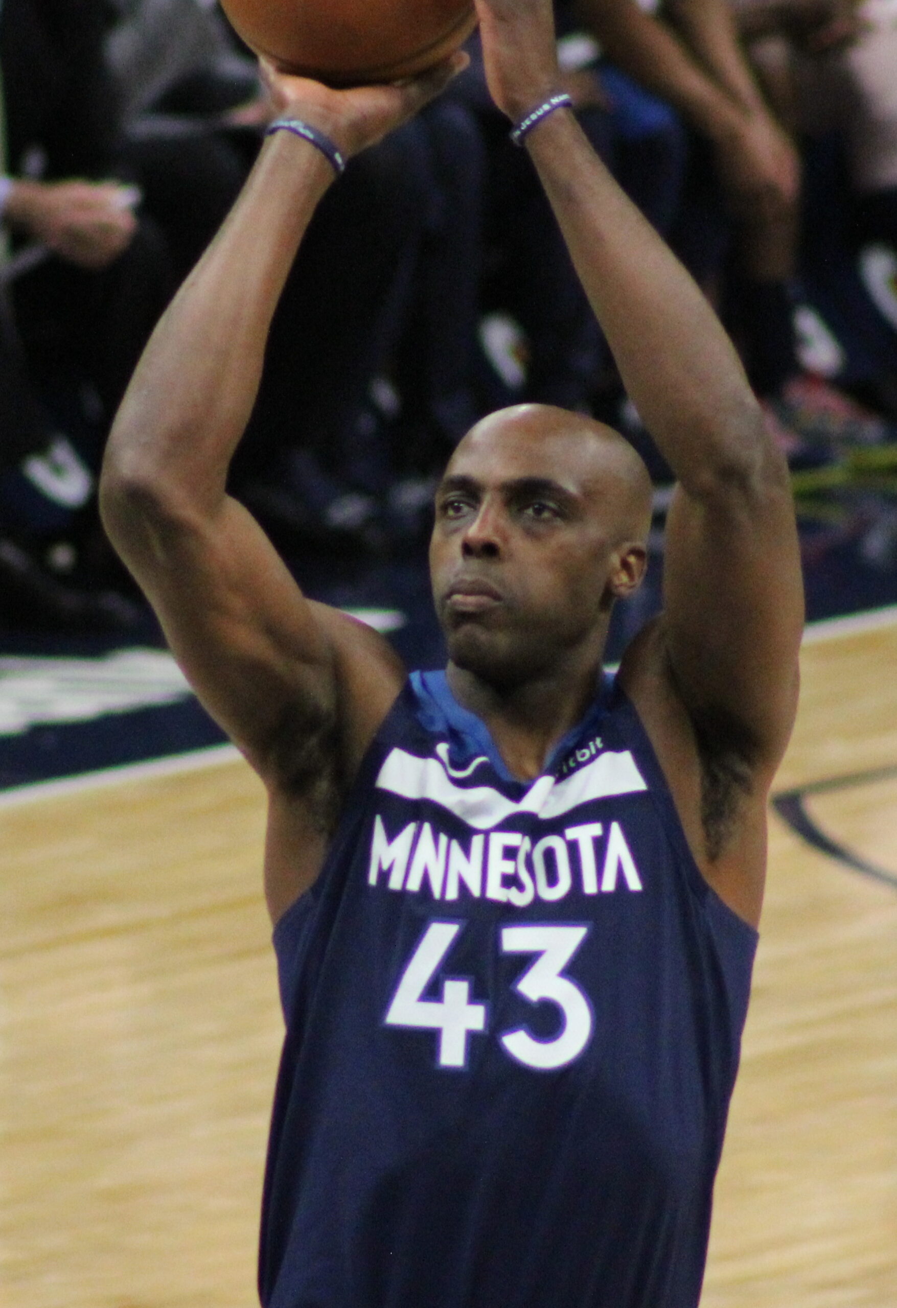 Tolliver with Minnesota Timberwolves (Source: wikiwand.com)