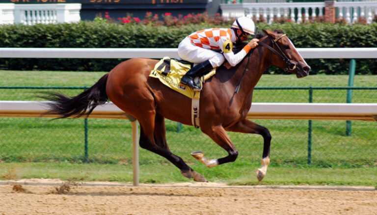 best racehorses of all time