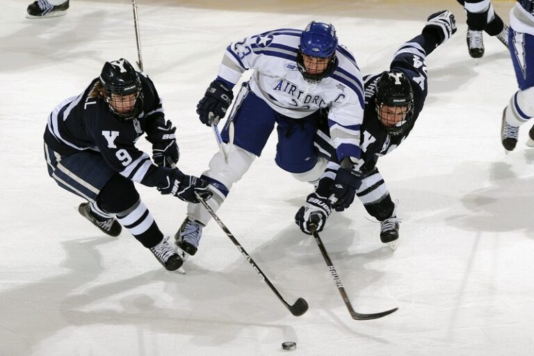 top nhl hits
