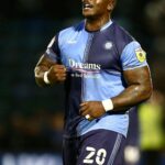 Akinfenwa