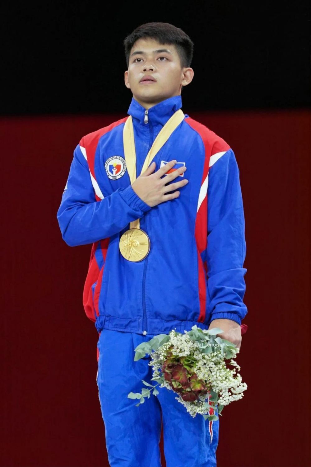 Carlos Yulo, 2019 World Artistic Gymnastics Championships' Gold Medalist (Source Pinterest)