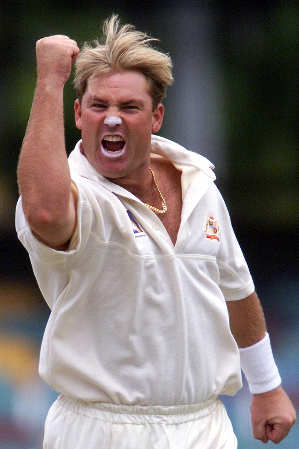 shane-warne-a-spin-wizard