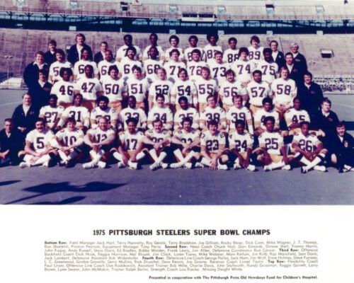 Pittsburgh Steelers - 1975 Superbowl Champions, 8x10 color team photo (Source: eBay)