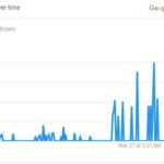 Jaylen Brown’s Search Ilustration