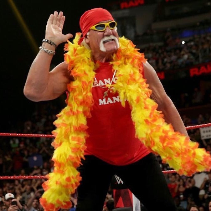 Hulk Hogan Inside The Ring