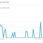 Lavar Ball’s Wife, The Search Graph (Source: Google Trend)
