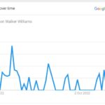 Shannon Walker Williams