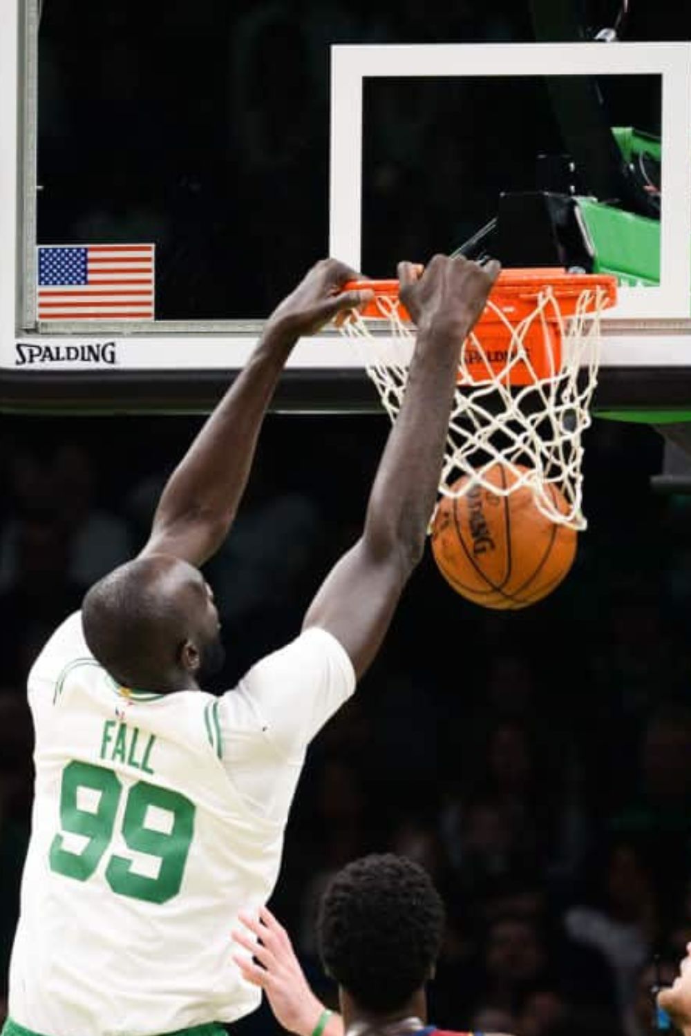 Tacko Fall's Dunk