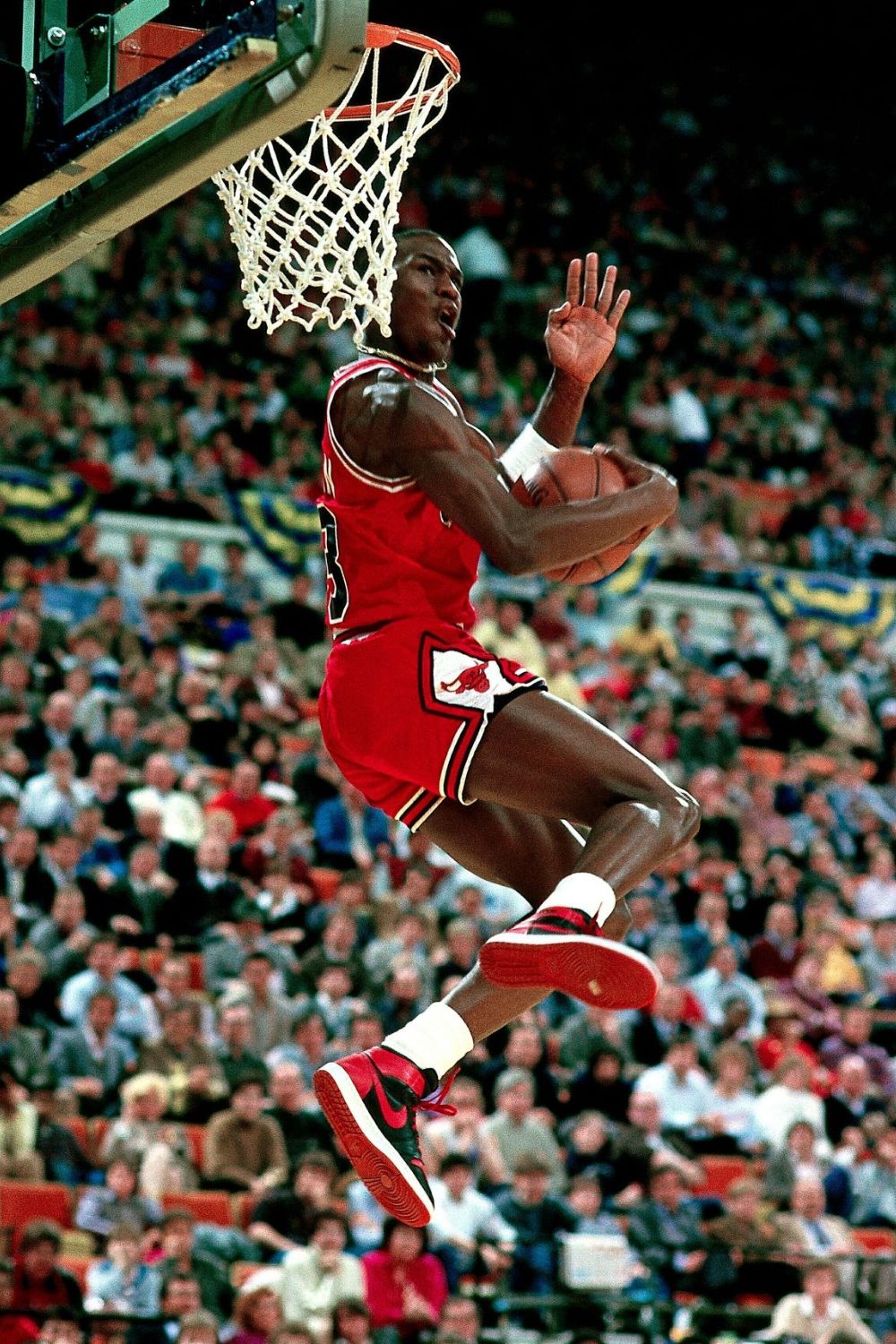 Top 10 Michael Jordan Dunks Players Bio Top 10 Michael Jordan Dunks Players Bio