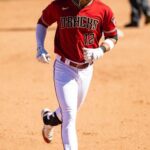 Lourdes Playing From Arizona Diamondbacks