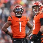 Cincinnati Bengals, 2022
