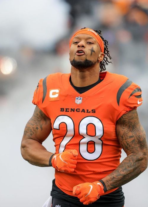 Mixon Became The 2017 NFL Draft Pick Of The Cincinnati Bengals