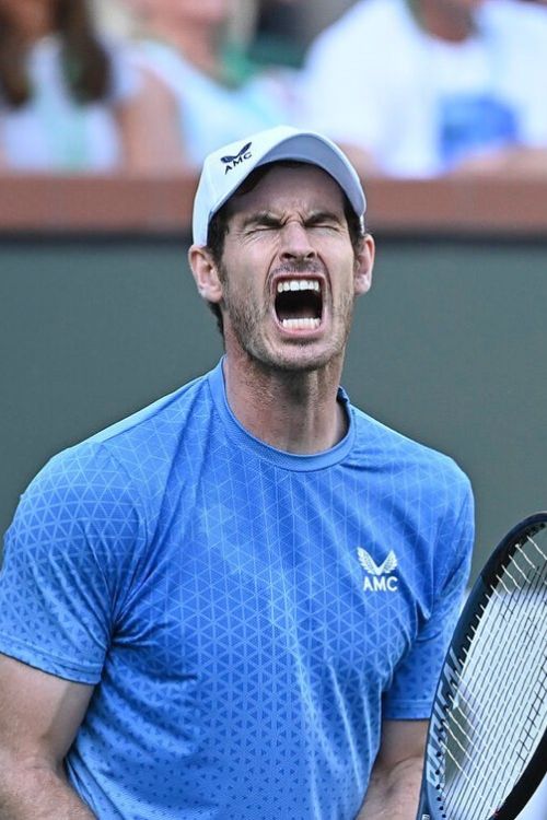Andy Murray Celebrates During A Match
