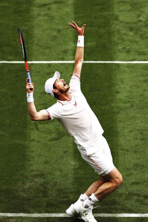 Andy Murray Serves During A Match