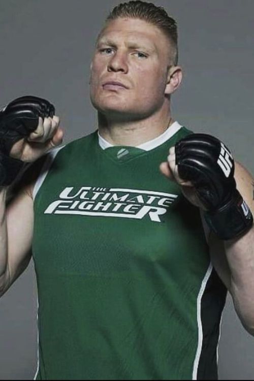 Brock Lesnar Is A WWE Star, MMA Artist, And A Former Football Player