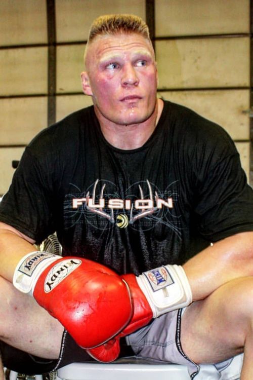 Brock Lesnar Resting After A Training