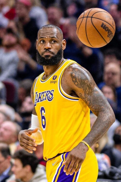 LeBron James Playing For The Lakers