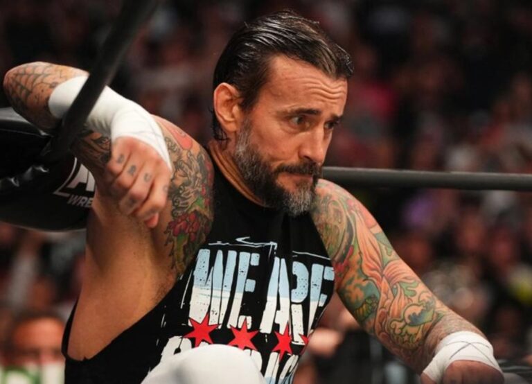 CM Punk Inside The Ring