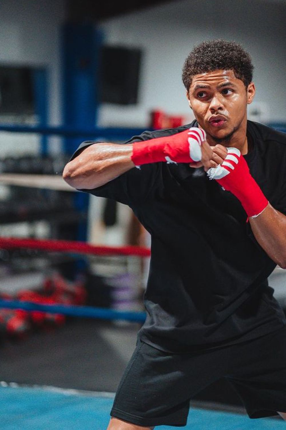 American Professional Boxer Shakur Stevenson