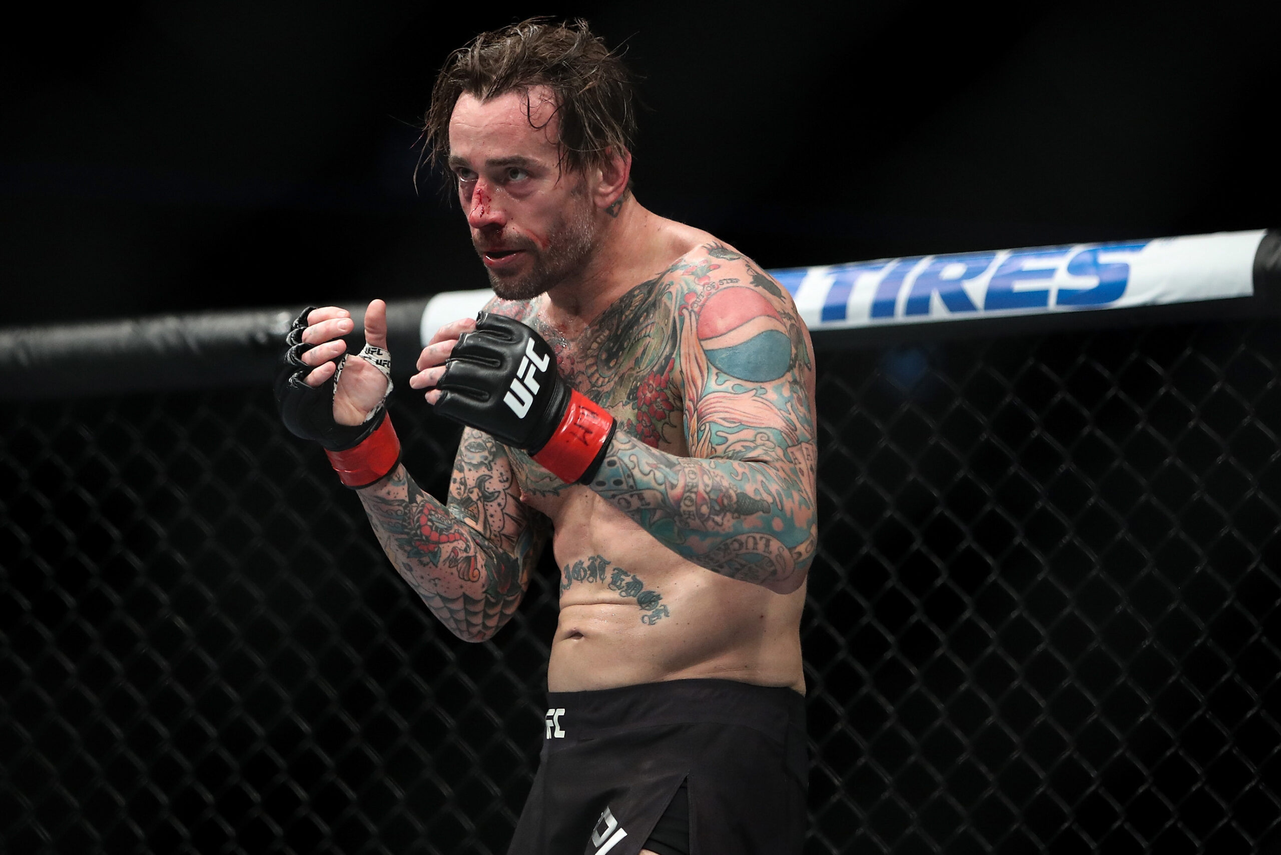 CM Punk In The MMA 