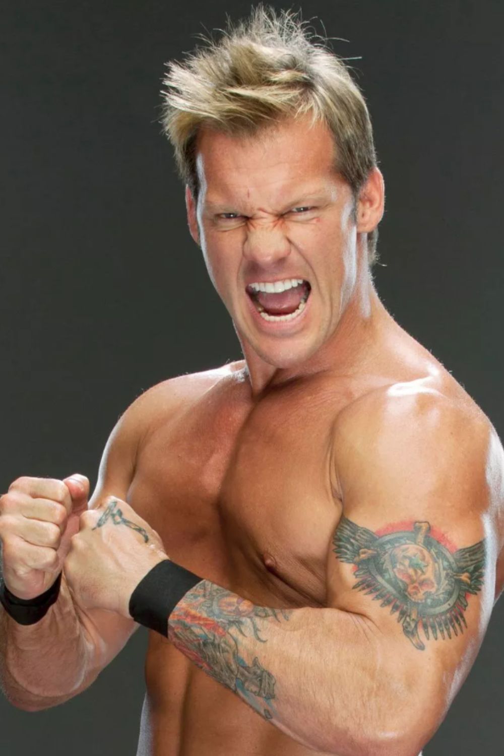 American-Canadian Professional Wrestler Chris Jericho